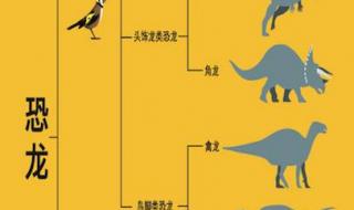 恐龙的种类有什么 恐龙的种类大全